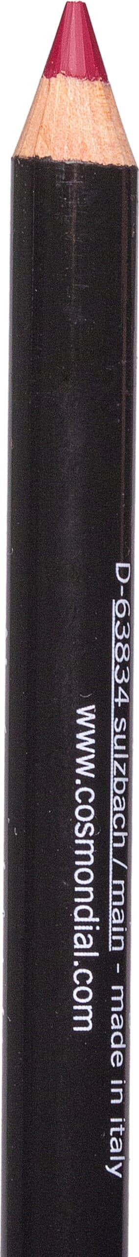 benecos Natural Lipliner - Berry