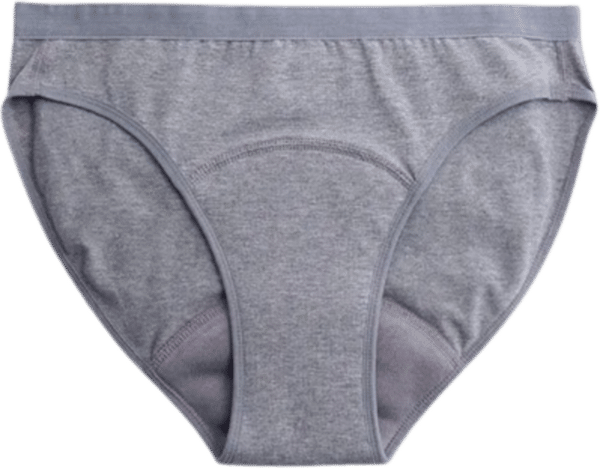 Imse Bikini Periodenslip Medium Flow Grau