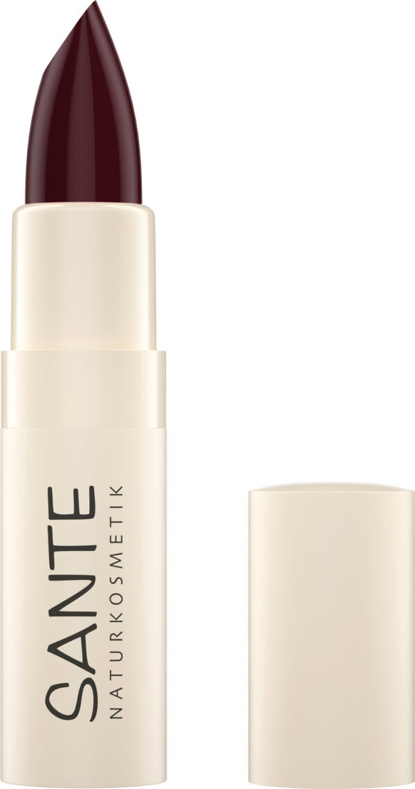 SANTE Moisture Lipstick - 08 Chestnut Glam