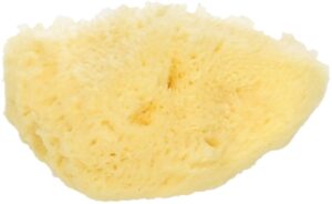 Koutouzis Natural Sea Sponges Naturschwamm "Silk" - ca. 7.5 cm