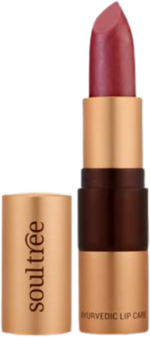 soultree Lipstick - 520 Iced Plum