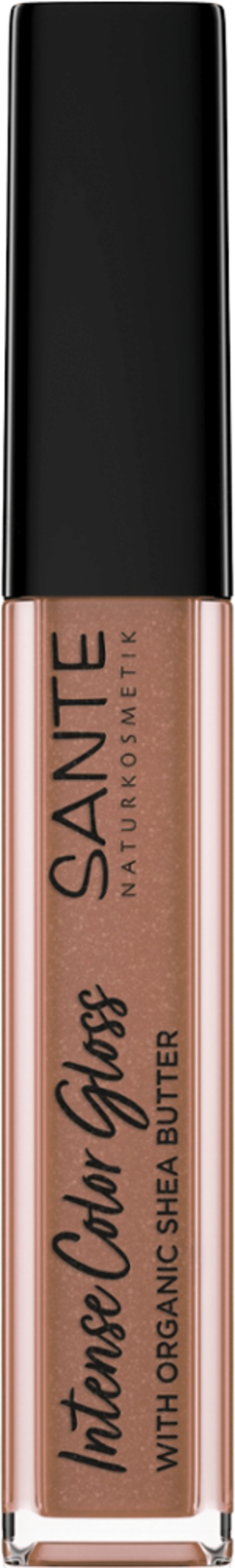 SANTE Intense Color Gloss - 01 Glistening Nude